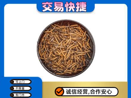襄阳老河口市高价回收散虫草